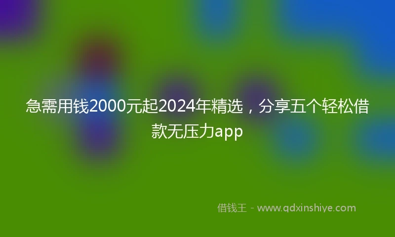 急需用钱2000元起2024年精选，分享五个轻松借款无压力app