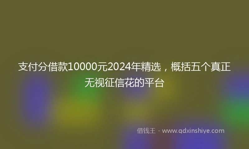支付分借款10000元2024年精选，概括五个真正无视征信花的平台