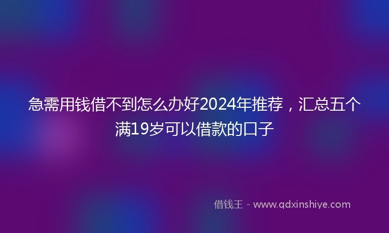 急需用钱借不到怎么办好2024年推荐，汇总五个满19岁可以借款的口子