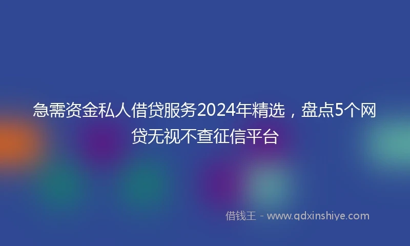 急需资金私人借贷服务2024年精选，盘点5个网贷无视不查征信平台