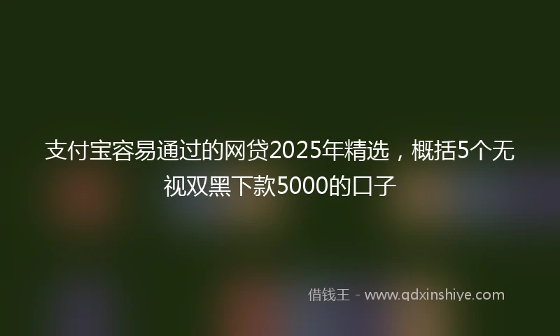 支付宝容易通过的网贷2025年精选，概括5个无视双黑下款5000的口子