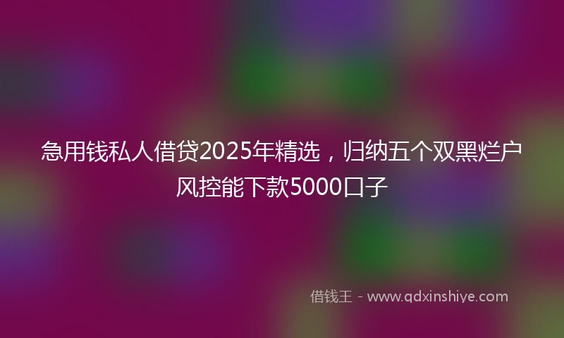 急用钱私人借贷2025年精选，归纳五个双黑烂户风控能下款5000口子