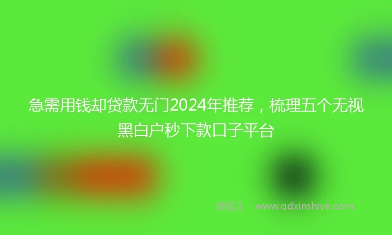 急需用钱却贷款无门2024年推荐，梳理五个无视黑白户秒下款口子平台