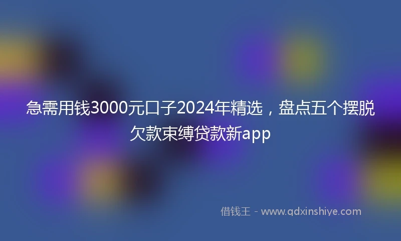 急需用钱3000元口子2024年精选，盘点五个摆脱欠款束缚贷款新app