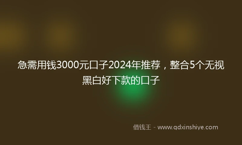 急需用钱3000元口子2024年推荐，整合5个无视黑白好下款的口子