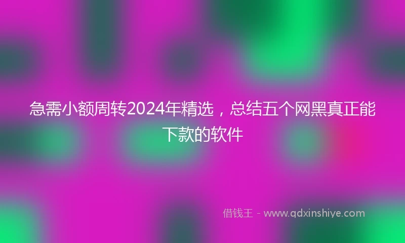 急需小额周转2024年精选，总结五个网黑真正能下款的软件