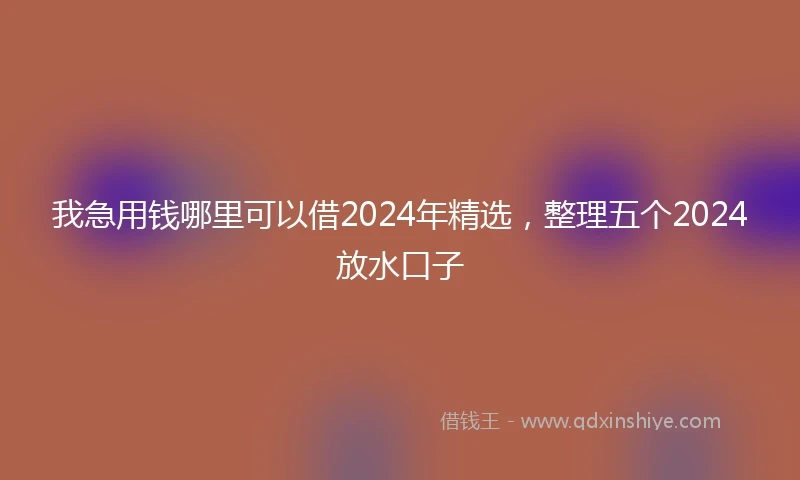 我急用钱哪里可以借2024年精选，整理五个2024放水口子