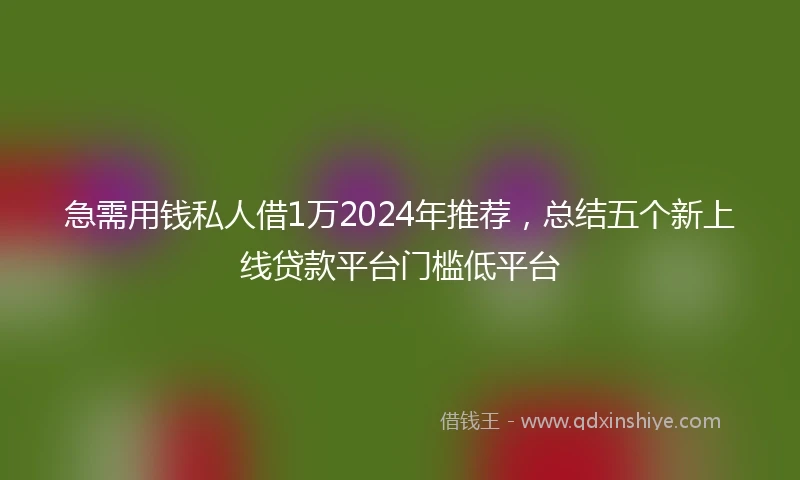 急需用钱私人借1万2024年推荐，总结五个新上线贷款平台门槛低平台