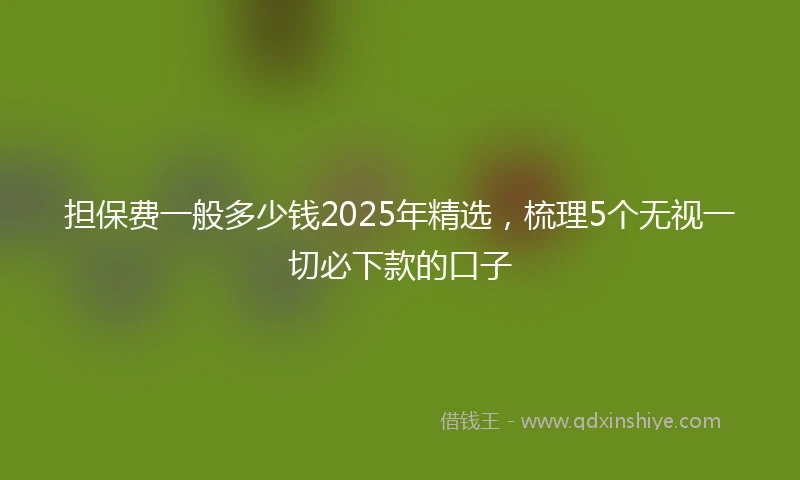 担保费一般多少钱2025年精选，梳理5个无视一切必下款的口子
