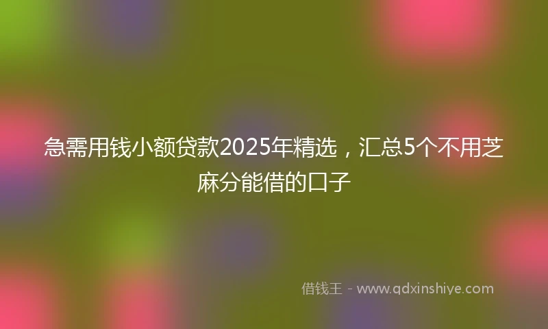 急需用钱小额贷款2025年精选，汇总5个不用芝麻分能借的口子