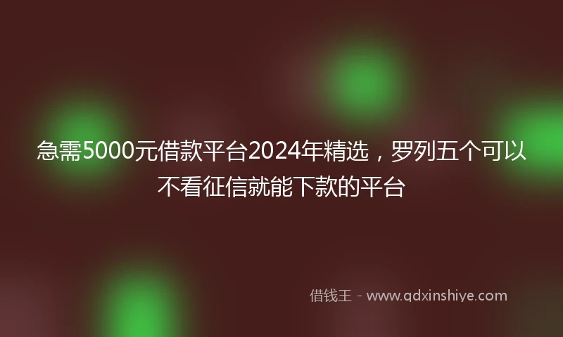 急需5000元借款平台2024年精选，罗列五个可以不看征信就能下款的平台