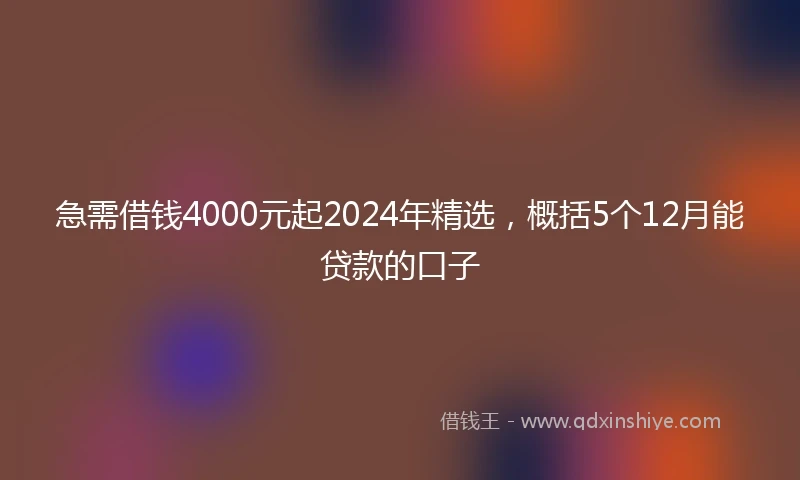 急需借钱4000元起2024年精选，概括5个12月能贷款的口子