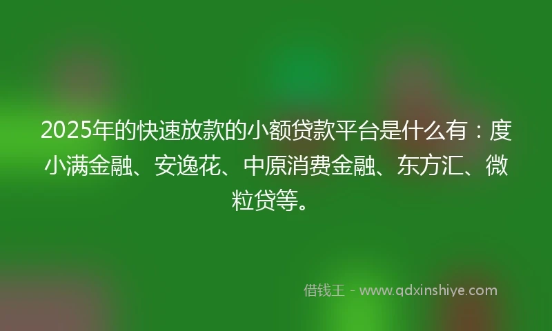 2025年的快速放款的小额贷款平台是什么有：度小满金融、安逸花、中原消费金融、东方汇、微粒贷等。