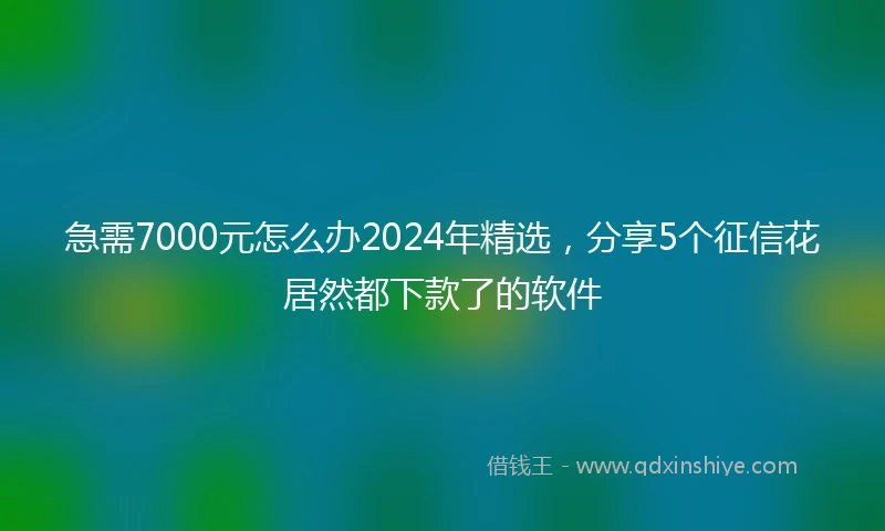 急需7000元怎么办2024年精选，分享5个征信花居然都下款了的软件