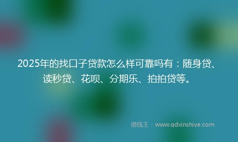 2025年的找口子贷款怎么样可靠吗有：随身贷、读秒贷、花呗、分期乐、拍拍贷等。