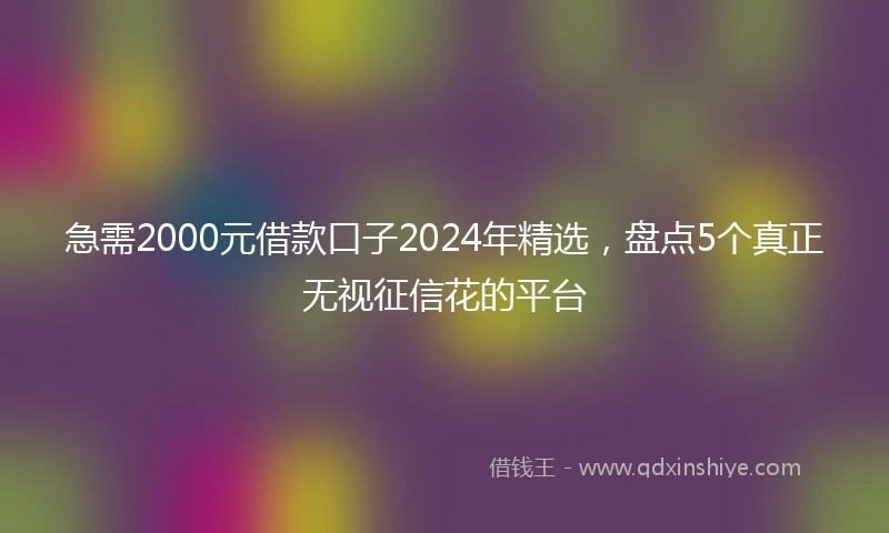 急需2000元借款口子2024年精选，盘点5个真正无视征信花的平台