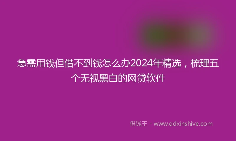 急需用钱但借不到钱怎么办2024年精选，梳理五个无视黑白的网贷软件