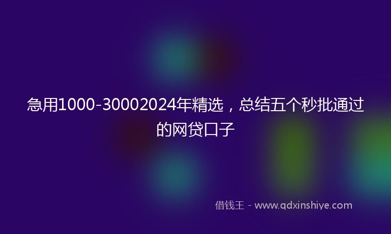 急用1000-30002024年精选，总结五个秒批通过的网贷口子