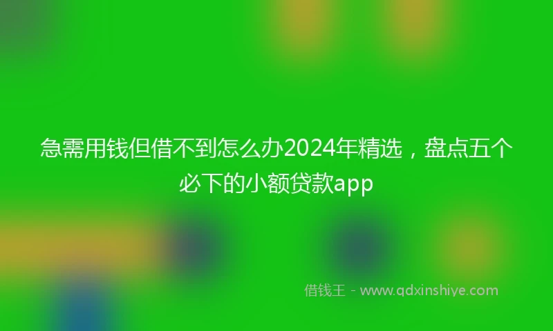 急需用钱但借不到怎么办2024年精选，盘点五个必下的小额贷款app