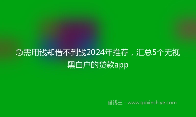 急需用钱却借不到钱2024年推荐，汇总5个无视黑白户的贷款app