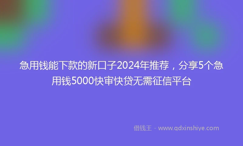 急用钱能下款的新口子2024年推荐，分享5个急用钱5000快审快贷无需征信平台