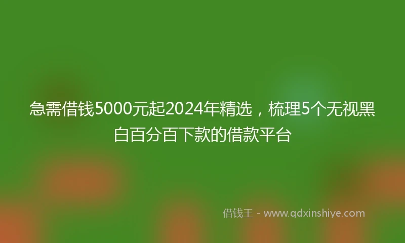 急需借钱5000元起2024年精选，梳理5个无视黑白百分百下款的借款平台