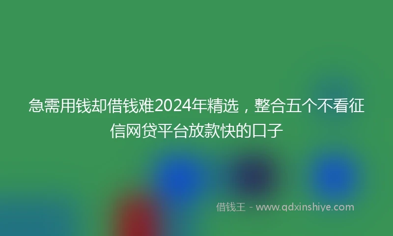 急需用钱却借钱难2024年精选，整合五个不看征信网贷平台放款快的口子
