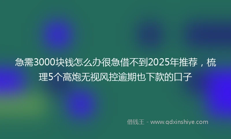 急需3000块钱怎么办很急借不到2025年推荐，梳理5个高炮无视风控逾期也下款的口子