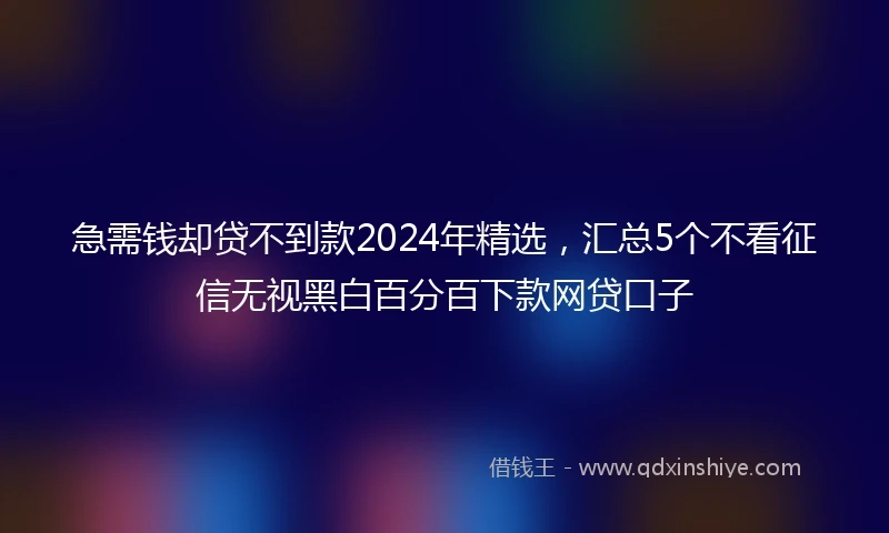 急需钱却贷不到款2024年精选，汇总5个不看征信无视黑白百分百下款网贷口子