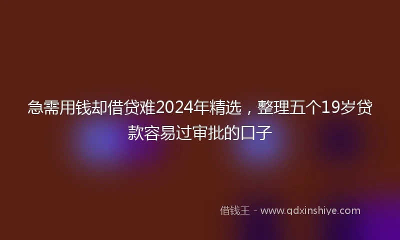 急需用钱却借贷难2024年精选，整理五个19岁贷款容易过审批的口子