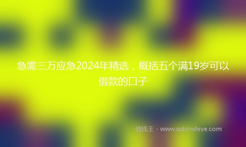 急需三万应急2024年精选，概括五个满19岁可以借款的口子