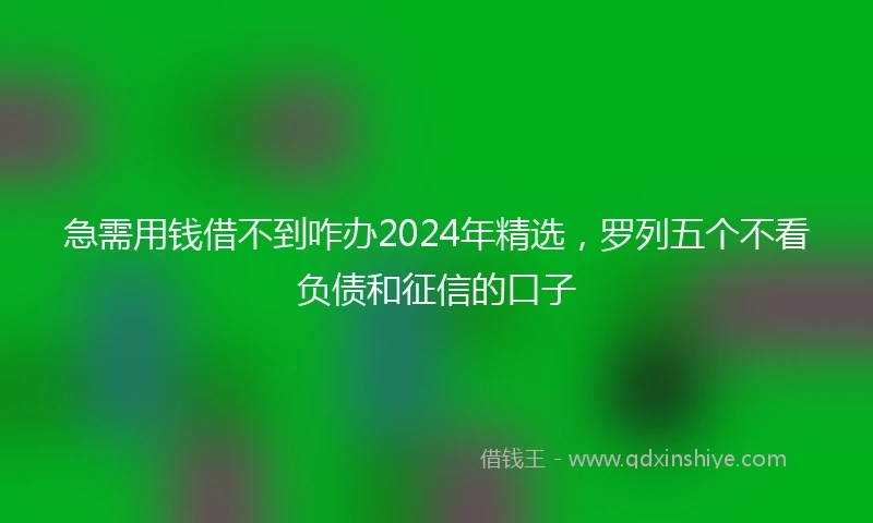 急需用钱借不到咋办2024年精选，罗列五个不看负债和征信的口子