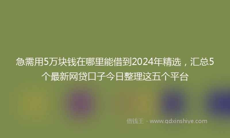 急需用5万块钱在哪里能借到2024年精选，汇总5个最新网贷口子今日整理这五个平台