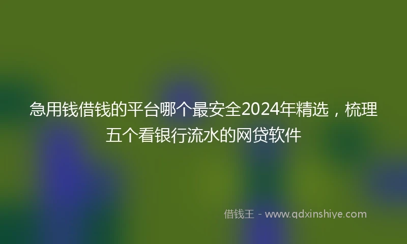 急用钱借钱的平台哪个最安全2024年精选，梳理五个看银行流水的网贷软件