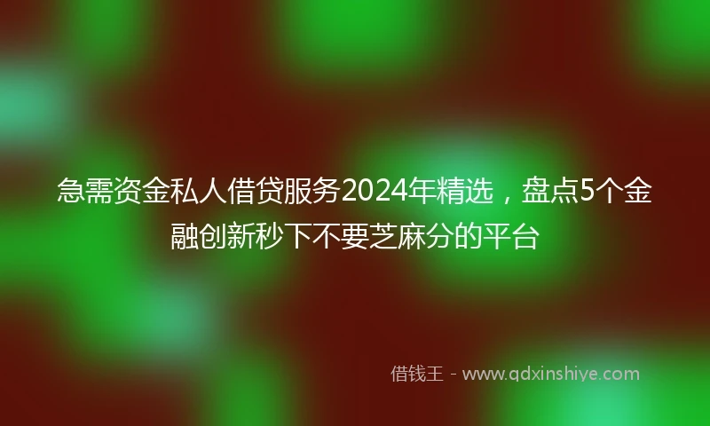 急需资金私人借贷服务2024年精选，盘点5个金融创新秒下不要芝麻分的平台