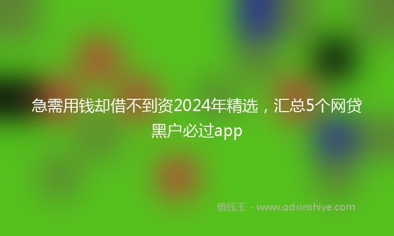 急需用钱却借不到资2024年精选，汇总5个网贷黑户必过app