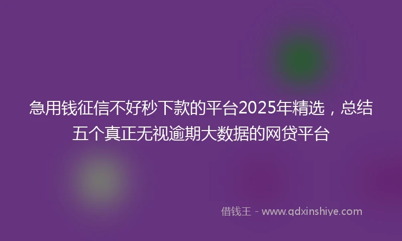 急用钱征信不好秒下款的平台2025年精选，总结五个真正无视逾期大数据的网贷平台