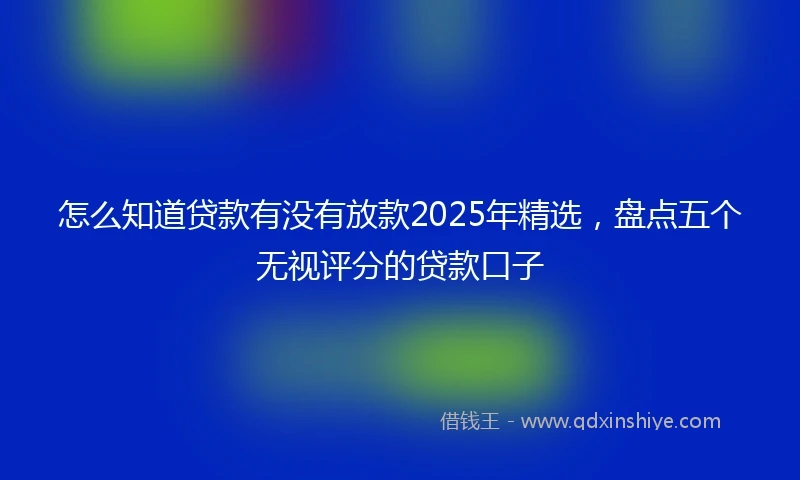 怎么知道贷款有没有放款2025年精选，盘点五个无视评分的贷款口子