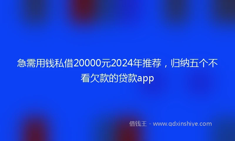 急需用钱私借20000元2024年推荐，归纳五个不看欠款的贷款app