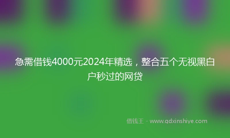 急需借钱4000元2024年精选，整合五个无视黑白户秒过的网贷