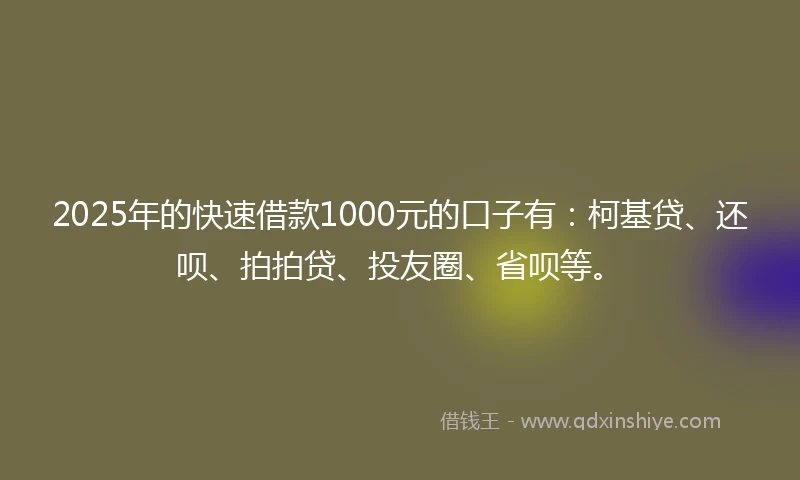 2025年的快速借款1000元的口子有：柯基贷、还呗、拍拍贷、投友圈、省呗等。