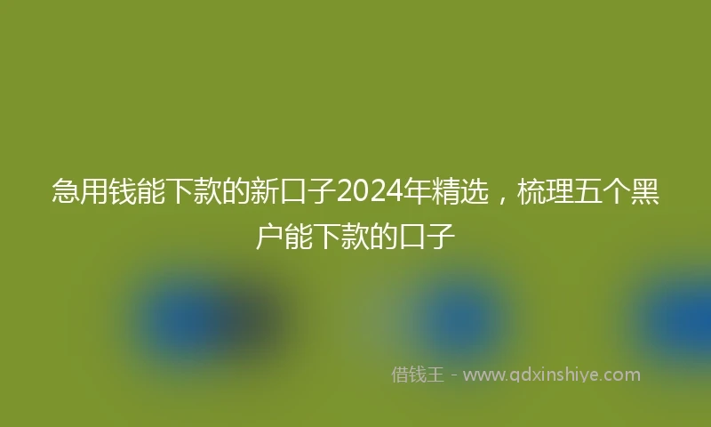 急用钱能下款的新口子2024年精选，梳理五个黑户能下款的口子