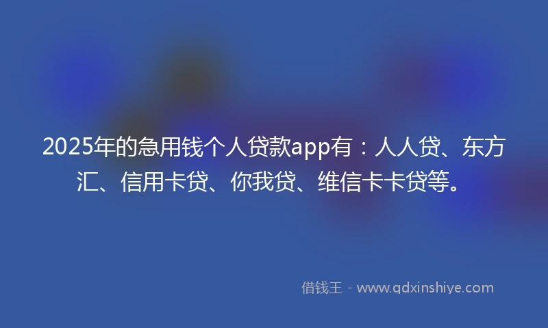 2025年的急用钱个人贷款app有：人人贷、东方汇、信用卡贷、你我贷、维信卡卡贷等。