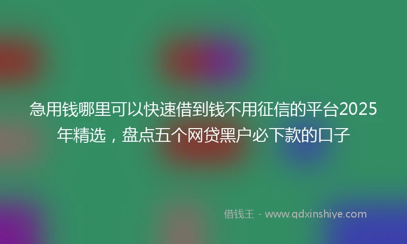 急用钱哪里可以快速借到钱不用征信的平台2025年精选，盘点五个网贷黑户必下款的口子