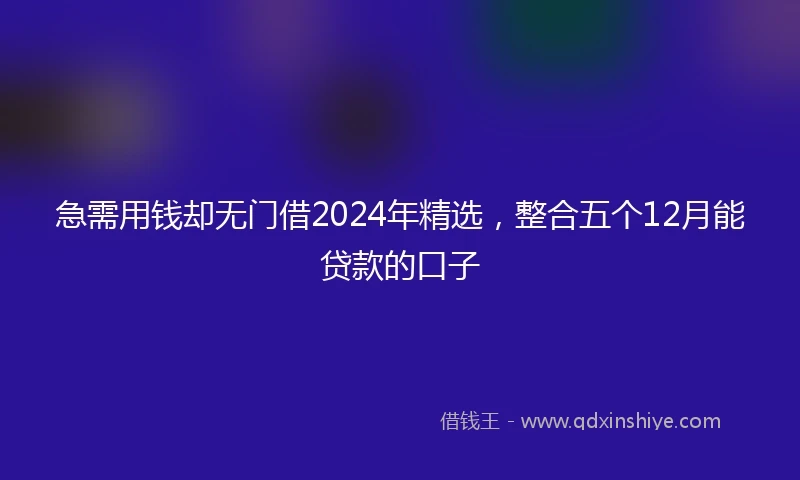 急需用钱却无门借2024年精选，整合五个12月能贷款的口子