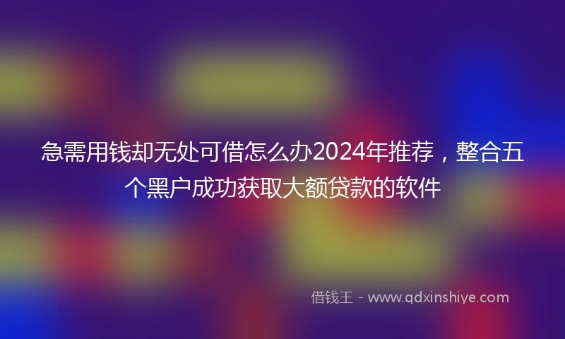 急需用钱却无处可借怎么办2024年推荐，整合五个黑户成功获取大额贷款的软件