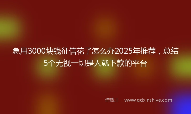 急用3000块钱征信花了怎么办2025年推荐，总结5个无视一切是人就下款的平台