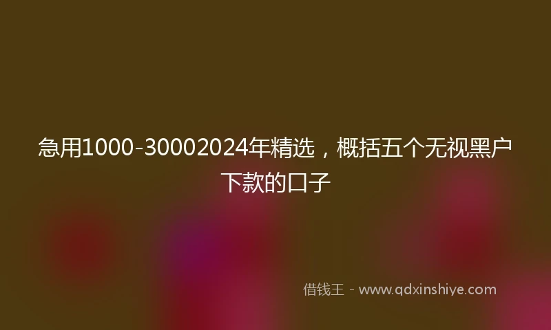 急用1000-30002024年精选，概括五个无视黑户下款的口子