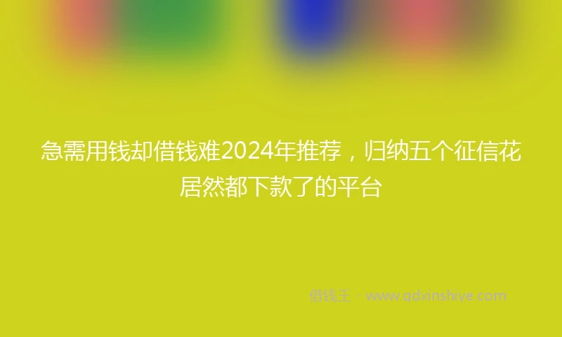 急需用钱却借钱难2024年推荐，归纳五个征信花居然都下款了的平台