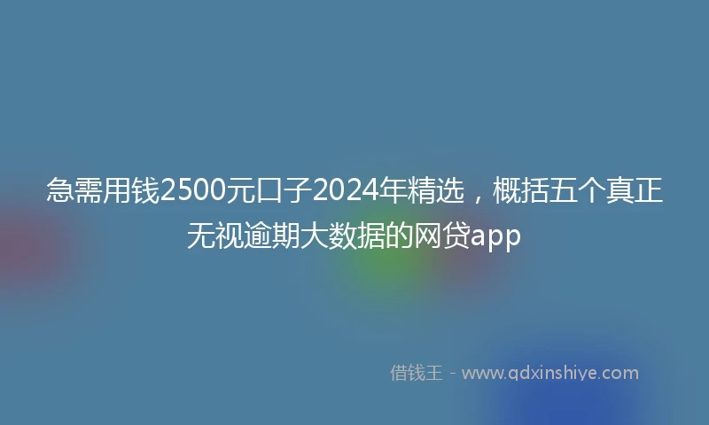 急需用钱2500元口子2024年精选，概括五个真正无视逾期大数据的网贷app